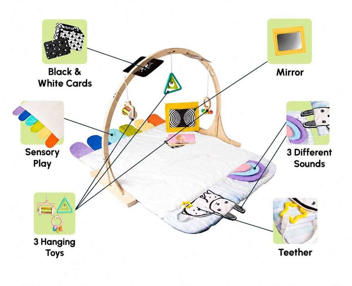 Little Explorer Play Gym