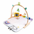 Little Explorer Play Gym