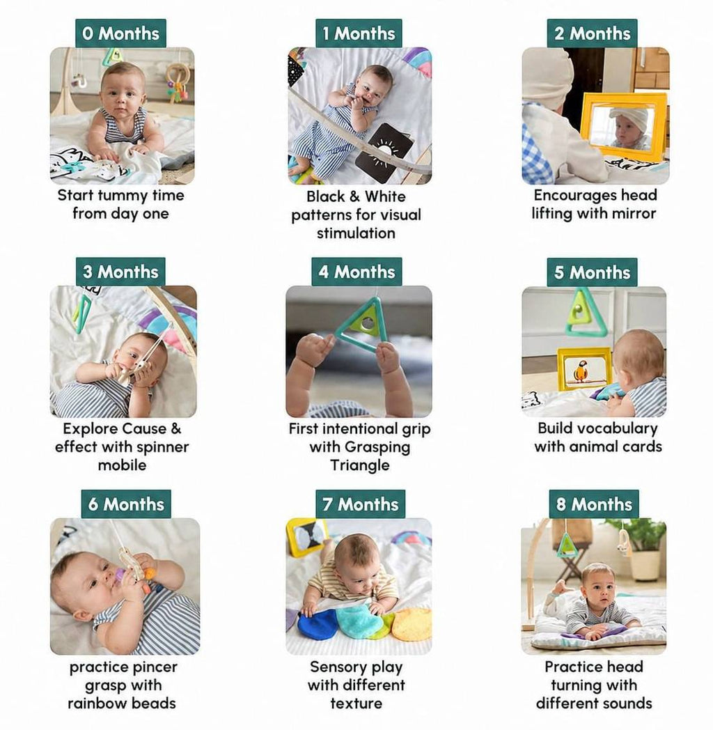 Little Explorer Play Gym